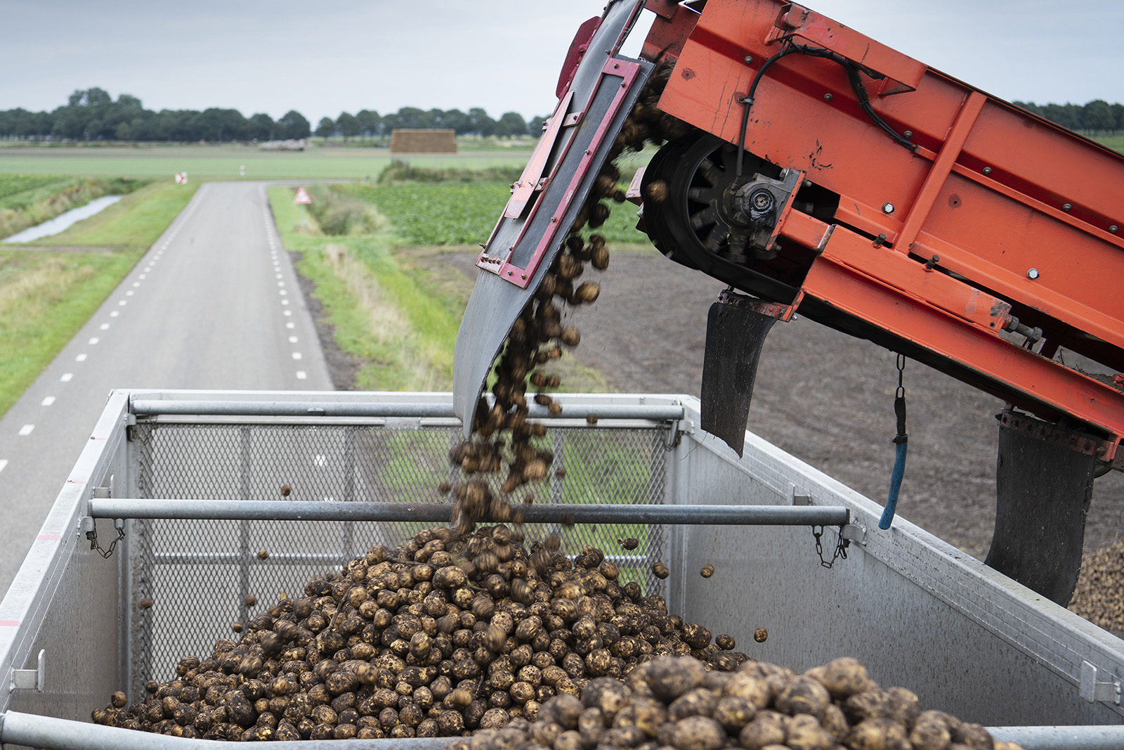 Laden van zetmeelaardappelen voor Avebe. - Foto: Mark Pasveer