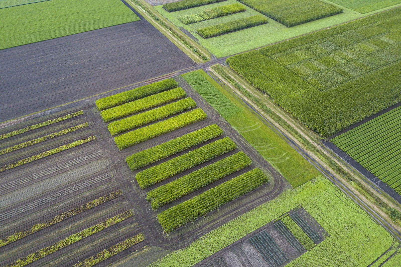 Proefboerderij Vredepeel