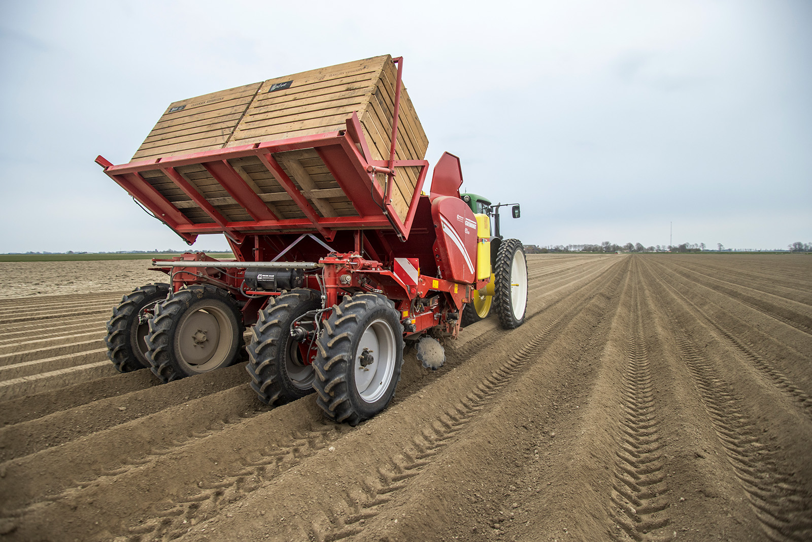 Variabel poten van aardappelen