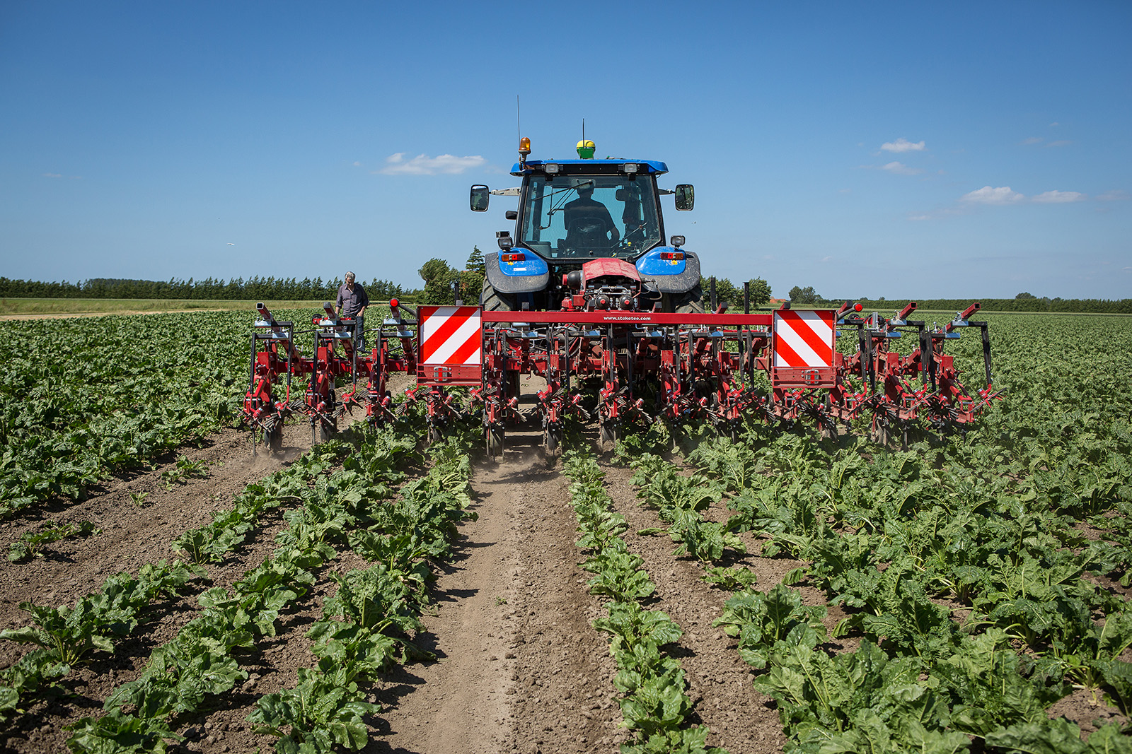 Schoffelen in bieten. - Foto: Peter Roek