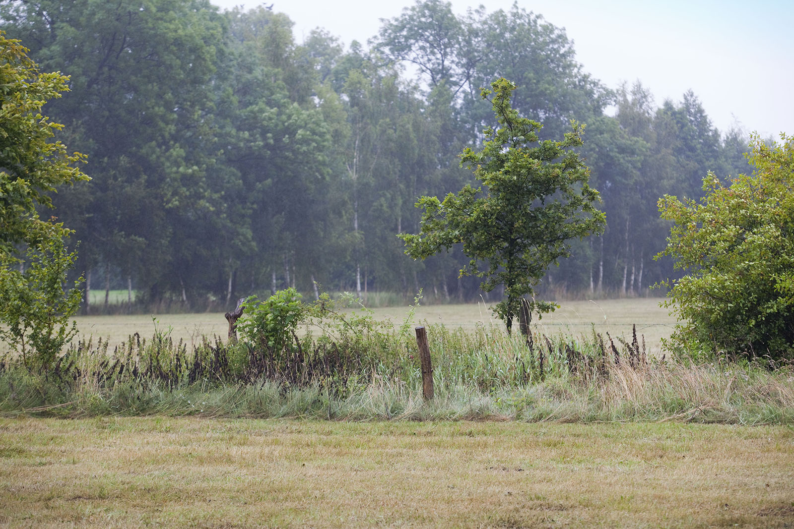 Foto: Jan Willem Schouten