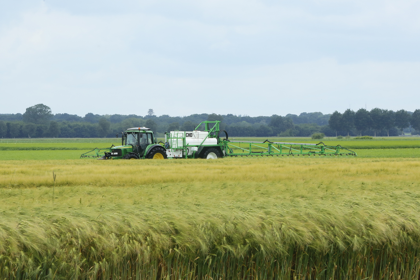 Zomergerst in bouwplan. - Foto: Henk Riswick