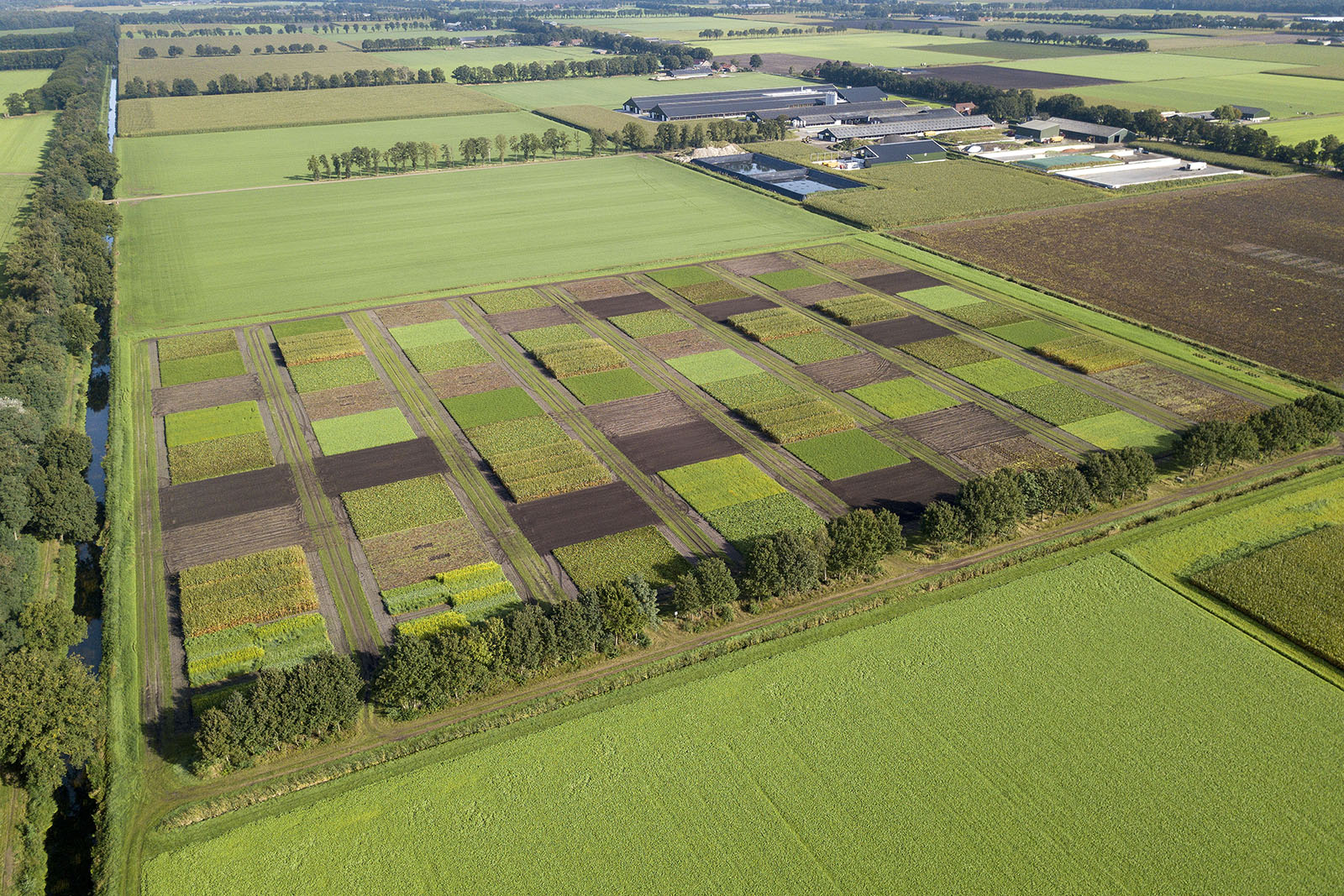 Onderzoekslocatie Vredepeel - Foto: Bert Jansen